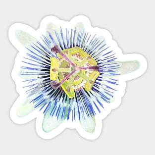 Passion of the Flower Sticker